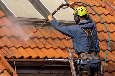 Démoussage et hydrofuge de toiture à Auribeau